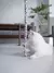 Varinha Brinquedo Interativo Do Gato - loja online