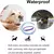 Colar ante pulgas para gatos cães, regular ansiedade, calmante - comprar online