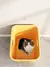 Bacia Grande, areia - Top Entry Cat Litter Box com Cat Litter Scoop Oval