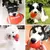 Brinquedos Para Cães Pequenos Grandes