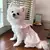 Vestido refrescante para cachorro, arco fino, impressão de coração