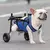 Carrinho, ciclomotor Pet Dog Transporte