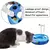Brinquedos interativos para gato - Seu Little Pet