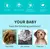 Pet champô e condicionador 2 em 1, champô hidratante natural do cão - comprar online