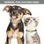 Coleira de impressão digital para Pet, Airtag capa protetora para gato e cão - comprar online
