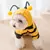 Roupa de transformação de abelhas para cães na internet
