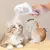 Pente spray para cuidados com animais de estimação - comprar online