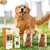 Condicionador Spray Desembaraçante Capilar para Animais - Seu Little Pet