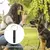 Apito portátil do cão para parar de latir, Dog Recall ajustável - comprar online