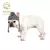 Chapéu de malha Windproof para Pet, Chapéu de malha macia para o inverno - loja online