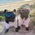 Óculos para Cães Windproof, Óculos para Cães, Ajustável na internet