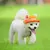 Coroa cão princesa animal de estimação na internet