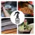 Spray de perfume corporal duradouro para animais de estimação na internet