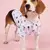 Roupas para animais pequenos padrões florais, camisas confortáveis - loja online