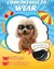 Decorações de Natal Óculos De Sol, Proteção UV - Seu Little Pet