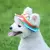 Coroa cão princesa animal de estimação - Seu Little Pet