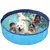 Piscina dobrável grande para animais de estimação - comprar online