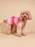 Imagem do Vestido bolinhas para cães pequenos e gatos