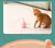 Brinquedos interativos de gato com USB, Elétrico, Bola de rolamento inteligente - loja online