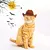 Chapéu cowboy estrela ajustável para animais de estimação - comprar online