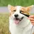 Escova para Gato, Fibra Superfina Lavável - comprar online