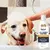 Champô e condicionador para cães 2 em 1, Gel de banho pet, Champô hidratante - Seu Little Pet