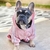 Macacão, Roupa de Cachorro na internet