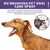 Spray de Limpeza Oral para Animais, Desodorante Dentes, Evitar Cálculo - loja online