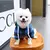 Roupas para cães de estimação, casaco com bolso grande - comprar online