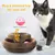 órgão placa brinquedo gato com bola