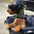 Imagem do Capacete de motocicleta com óculos de sol para animais de estimação, chapéu