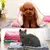 Cobertor de lã lavável à máquina para animais de estimação na internet