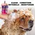 Shampoo e Condicionador Pet, Shampoo Natural 4 em 1 para Cães, Gel de Banho