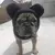 Imagem do Macio morno velo chapéu de morcegos para cães, buldogues franceses