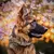 Coleira Tática para Cão Policial, Militar Ajustável na internet