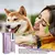 Perfume De Cão Natural Com Grânulos De Rolamento Design, Calmante Detangler na internet
