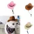 Chapéu cowboy estrela ajustável para animais de estimação - loja online