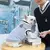 Camisola tricotada com decote em v para animais, suéter quente - Seu Little Pet