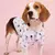 Roupas para animais pequenos padrões florais, camisas confortáveis
