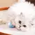 Bola inteligente interativa para gato e cachorro, Bola mágica de rolamento automatico - comprar online