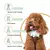 Cortador elétrico multifuncional para cães, barbeador sem fio para cães - loja online