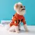 Super alta qualidade de luxo camisola do cão novo outono inverno