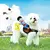 Fantasias Cosplay engraçadas para animais de estimação na internet