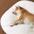 Imagem do Tapete de dormir do cão amigável e lavável