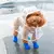 Casaco de chuva claro Pet Raincoat, Casaco impermeável para cães pequenos na internet