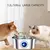 Imagem do Fonte automática do gato com janela nivelada da água, distribuidor silencioso