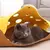 Cama dobrável para gatos, túnel na internet