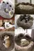 Imagem do Sofás- Cama quentinho para pet