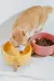 Tigela de cerâmica, tamanho para Cães e Gatos - comprar online