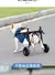 Carrinho, ciclomotor Pet Dog Transporte na internet